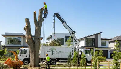 Professional landscaping and tree removal service in Cherry Hill, NJ by Chop Chop Tree
