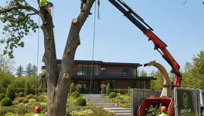 Professional landscaping and tree service team in Cherry Hill, NJ transforming residential lawns